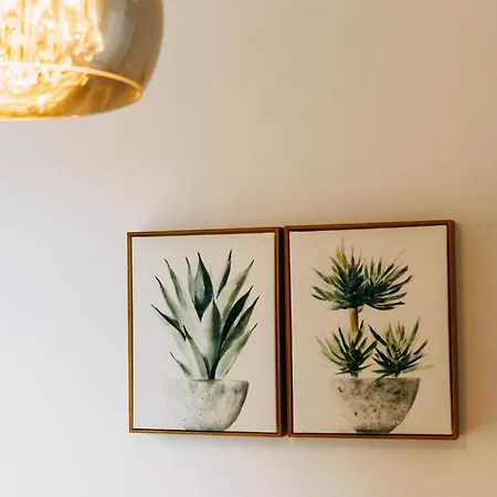 Sunset Cliffs - Vida De Luxury *