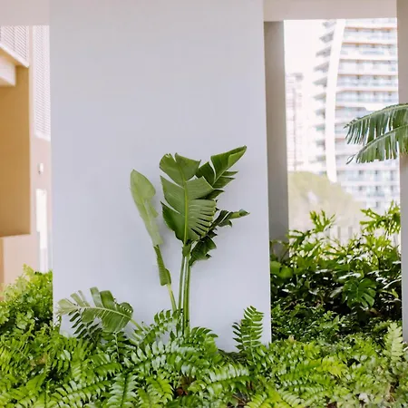 Sunset Cliffs - Vida De Luxury Benidorm