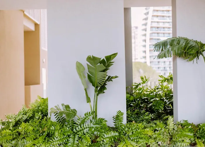 Sunset Cliffs - Vida De Luxury 베니돔