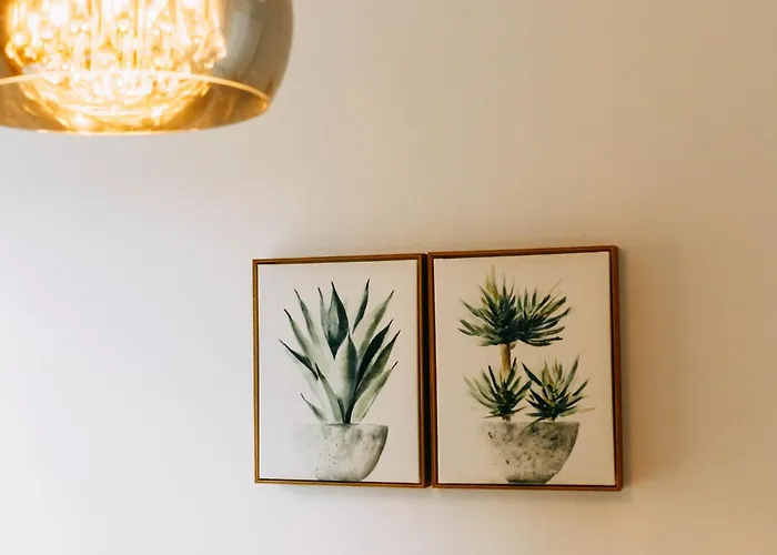 Sunset Cliffs - Vida De Luxury *